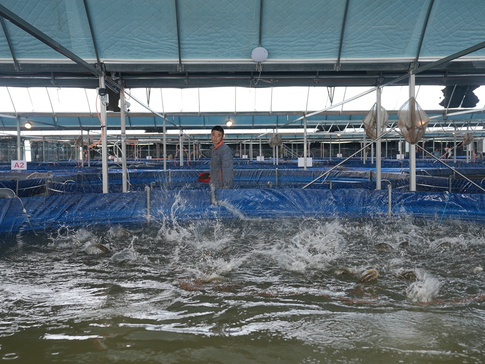 DSC03113_副本.jpg DSC03113_副本.jpg